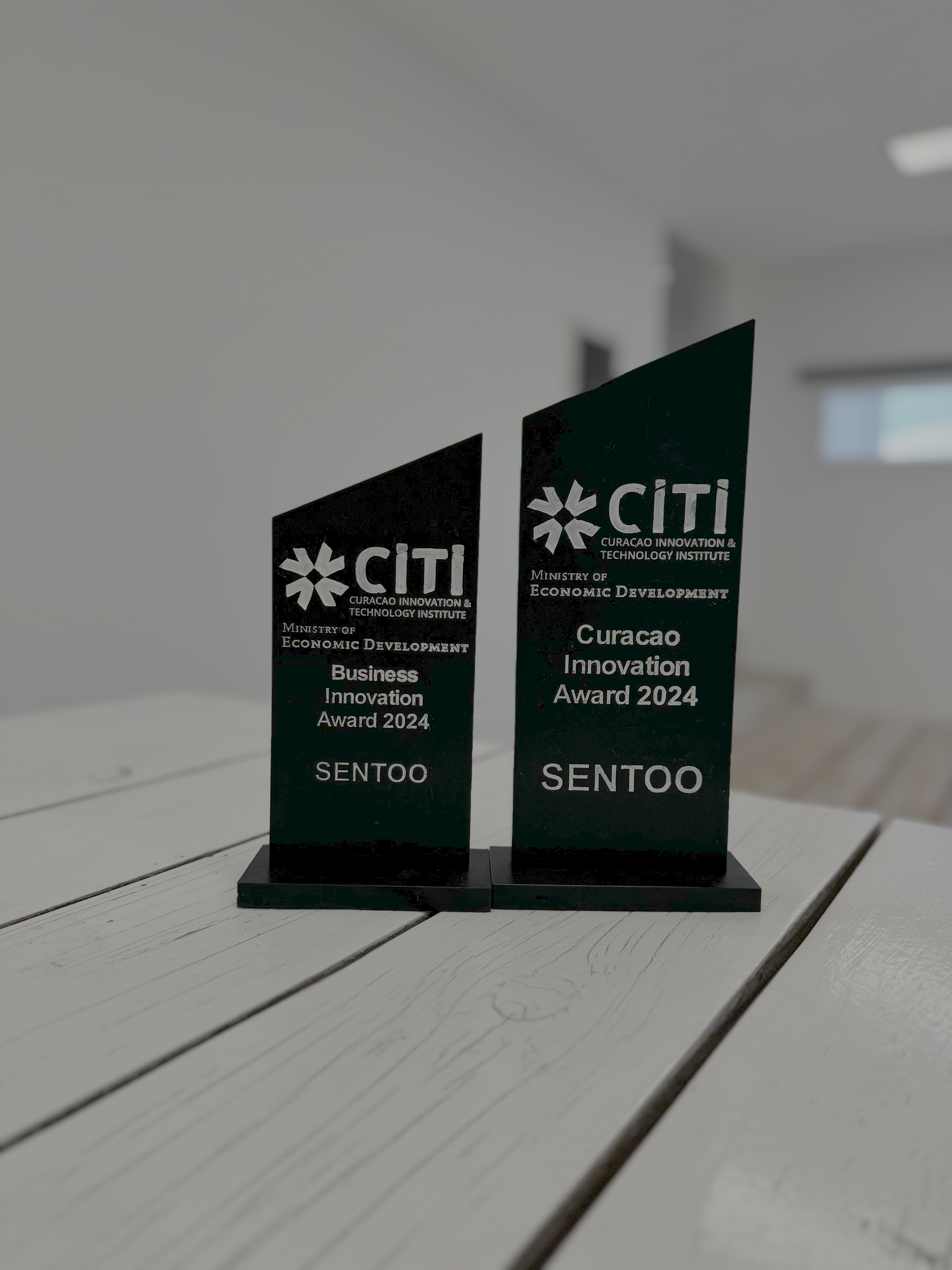 Sentoo received the CITI Innovation Award 2024 and the Business Innovation Award